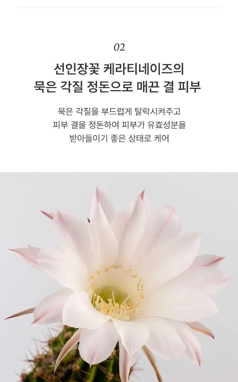 [단독기획] 헉슬리 컨디셔닝 에센스 토너 프리쉐이프 300ml 기획(+화장솜 40매) 상세페이지 12